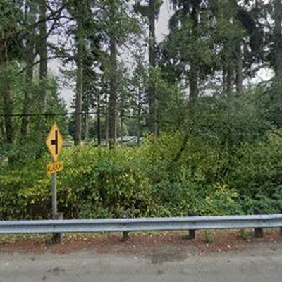 Cains Tree Care Inc