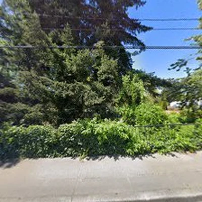 Anytime Tree Services