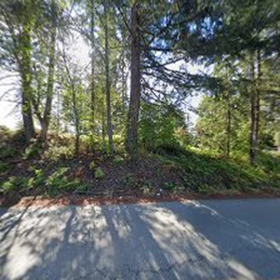 Diego's Tree Service & Landscaping LLC