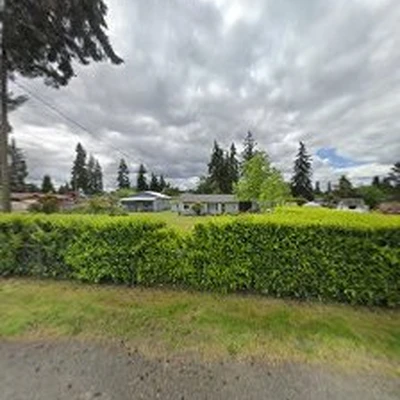 South Hill Tree Services
