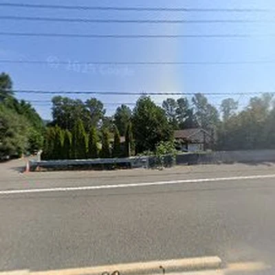 Alta View tree Service