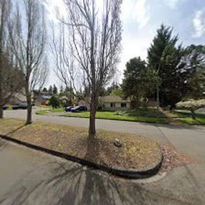 All Pro Tree Care