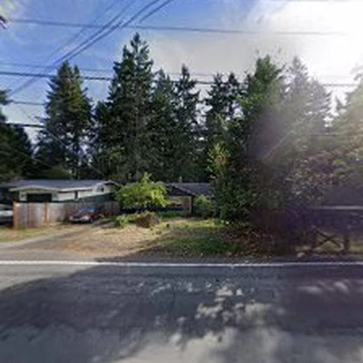 Magic Tree Removal and Trimming Service Of Shoreline