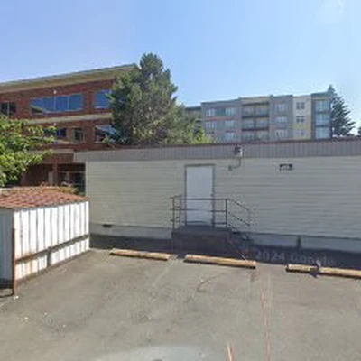 Tree Surgery Redmond