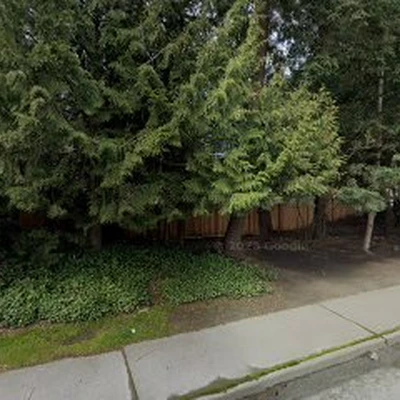 Gray Owl Tree Service