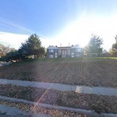 Colorado Stump Removal - Denver