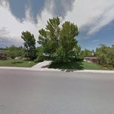 Wild Man's Tree Service