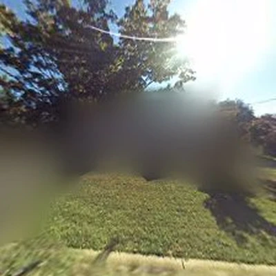 Daniel's Lawn & Tree LLC