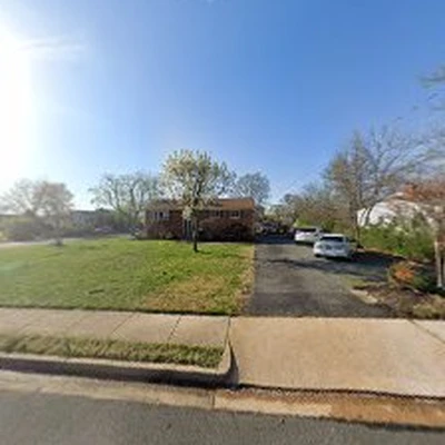 Lopez Tree Services
