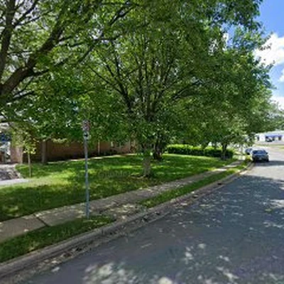 Tree Service & Removal