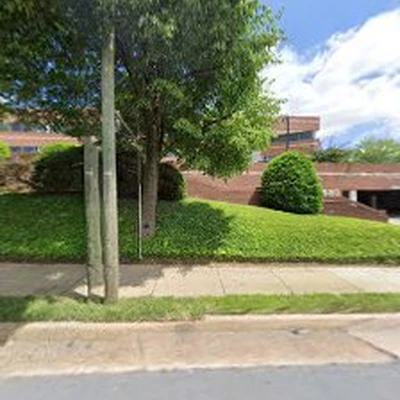 Stokes Tree Solutions