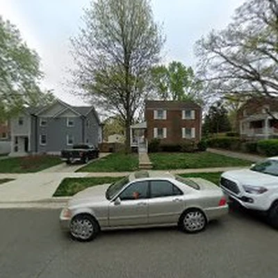 Arlington Tree Care
