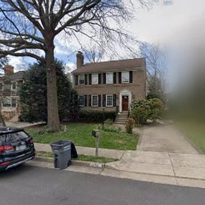 Olsen Tree Service And Removal