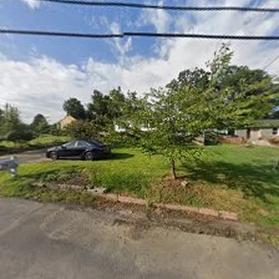Evergreen Tree Experts
