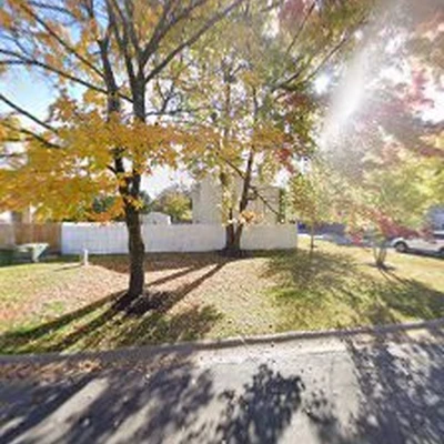 Tree Crew - Tree Experts