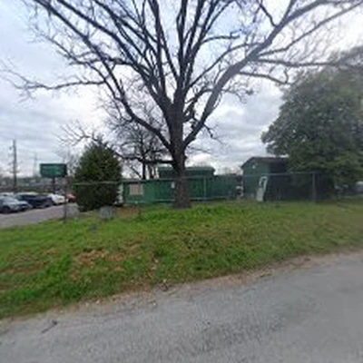 SavATree