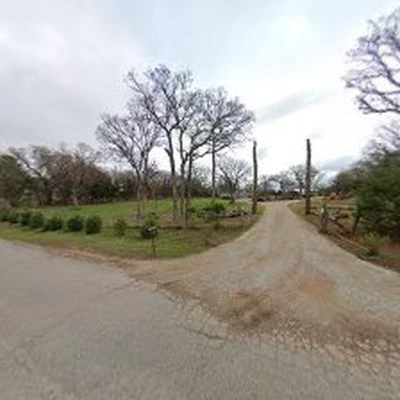 Tree Dr LLC. Tree Care Services