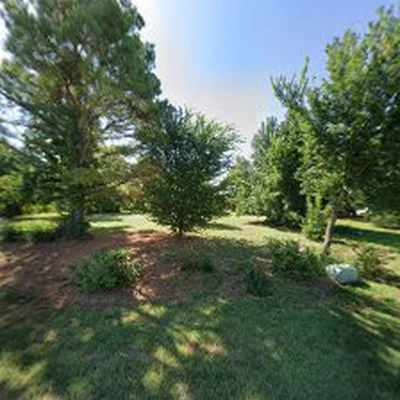 Adams Tree Service