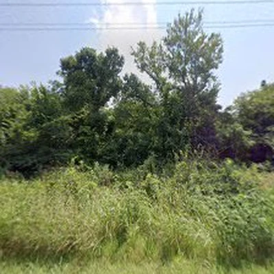 Tree F8 llc