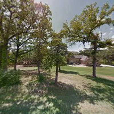 Top Notch Tree and Landscape