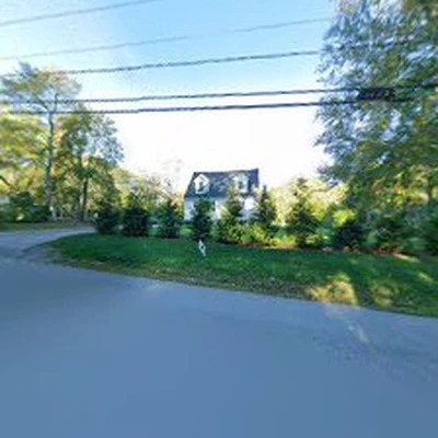 DF Tree LLC