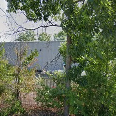 Alpine Tree Specialists