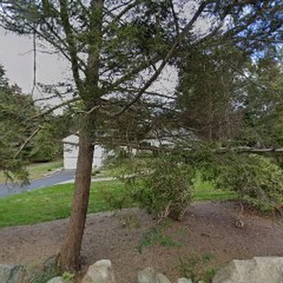 Pollock Bros Tree Service Weston