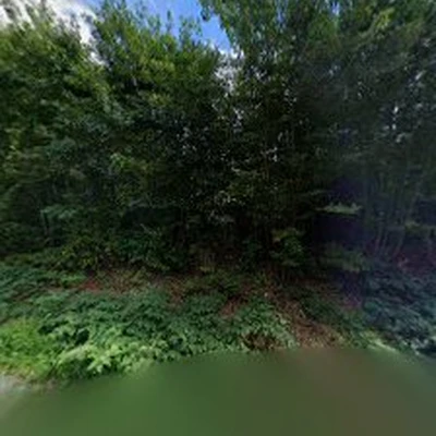 Berube Tree and Construction LLC