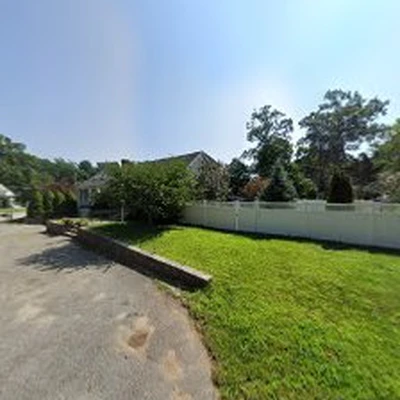 Wilmington Tree Service Expert