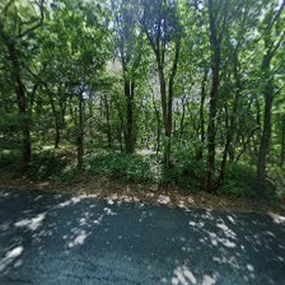 RGS Tree Service Inc
