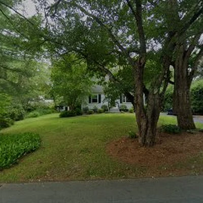 Burke Tree & Yard Maintenance