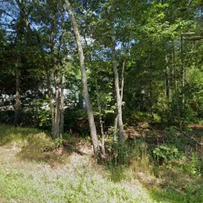 Willow Tree & Landscape Inc.