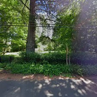 Very Good Stump Grinding & Tree Removal