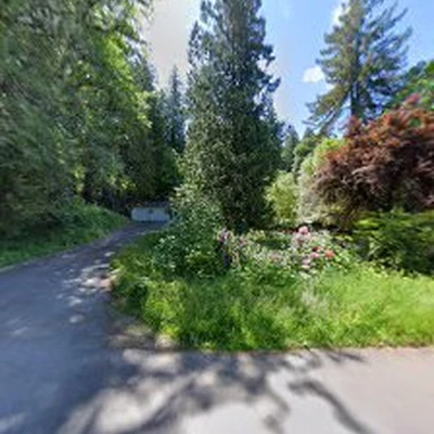 Urban Lumberjack | Tree Removal Emergency | Emergency Tree Service