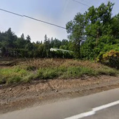 Alder Creek Tree Services LLC