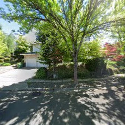 Peter's Tree Service LLC