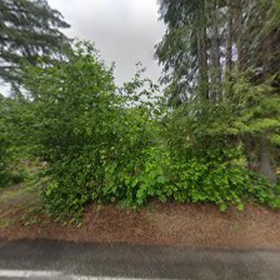 Mt.Hood Tree Services