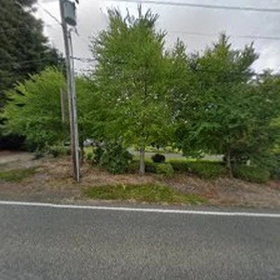 New Day Arborist