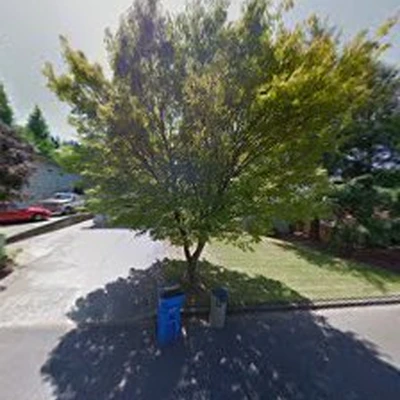 S.W. Boutique Tree Service, LLC