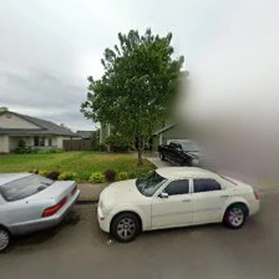 Zapps Tree & Yard Services