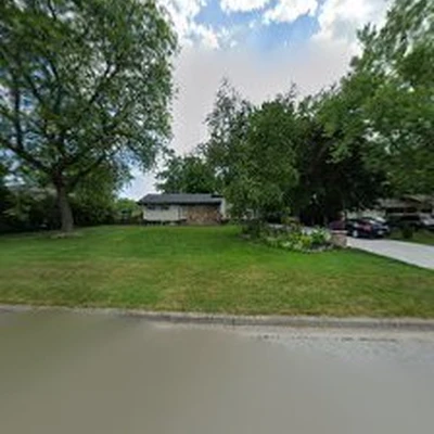 Tree service of Windsor