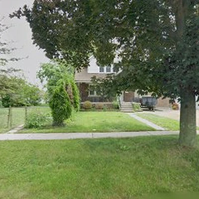 Dan's Tree Service