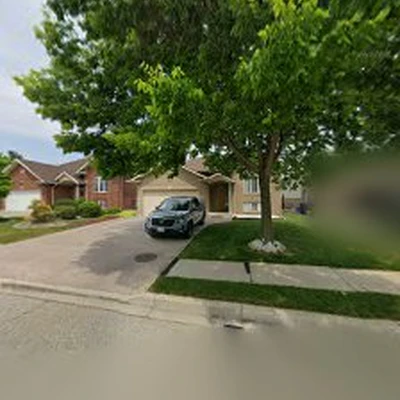 Olympia Tree Care Ltd.