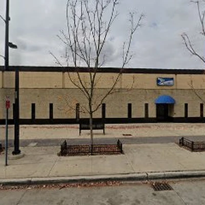 Detroit Tree Service