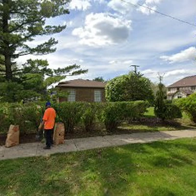 TheTroy Tree Service LLC