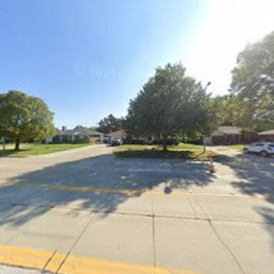 MOTOR CITY STUMP GRINDING