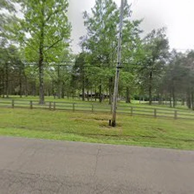 Quality Tree Work