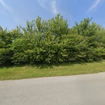 Batts Tree Services