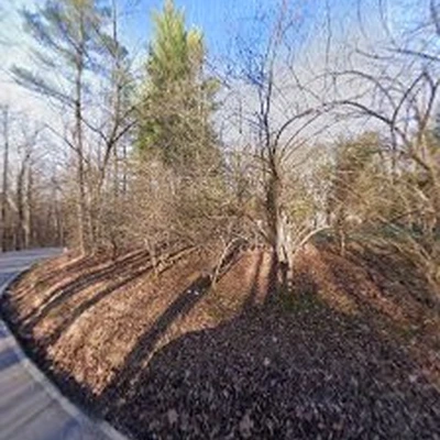 Stumps Gone Wild