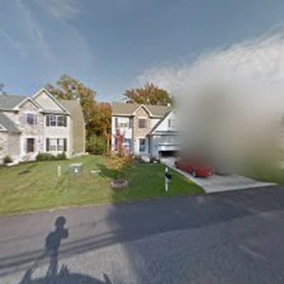 Maryland Professional Tree Services